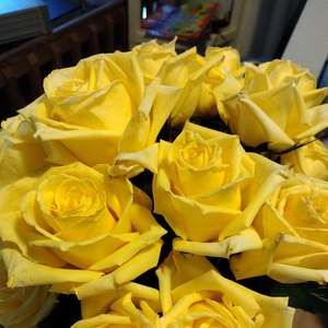 Meet your Posher, Lisa